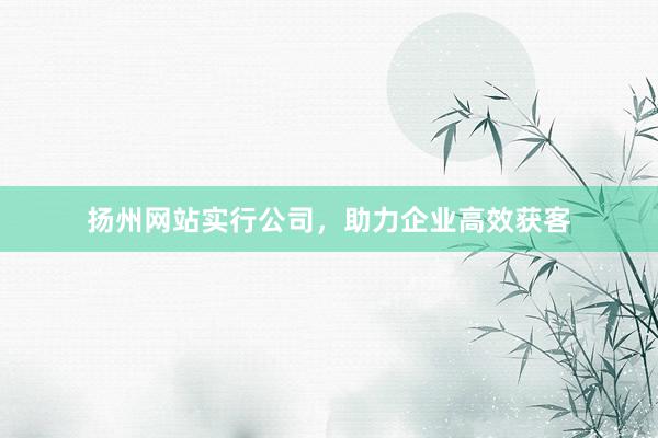 扬州网站实行公司，助力企业高效获客