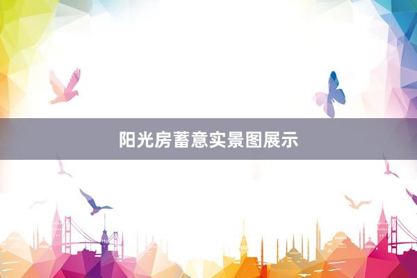 阳光房蓄意实景图展示