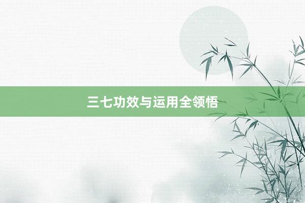 三七功效与运用全领悟