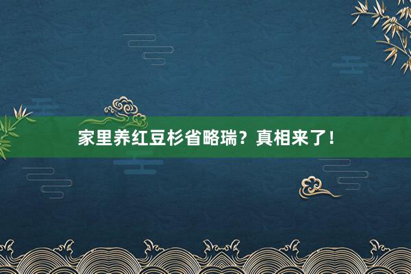 家里养红豆杉省略瑞？真相来了！