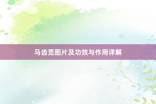 马齿苋图片及功效与作用详解
